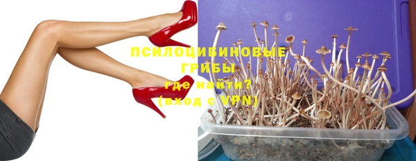 ALPHA PVP Остров