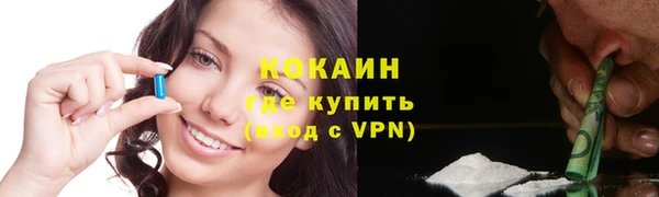 ALPHA PVP Остров