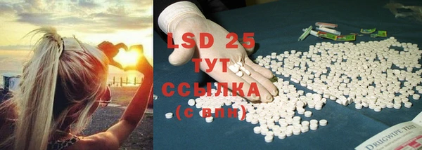 ALPHA PVP Остров